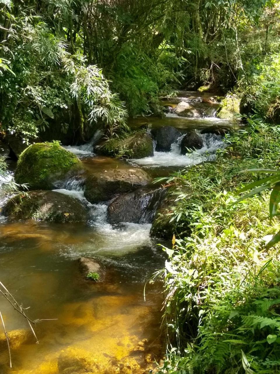 Pousada Murmurio Das Aguas Hotel Sao Francisco Xavier Bagian luar foto